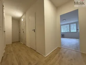 Pronájem bytu 3+1, Most, Josefa Suka, 68 m2