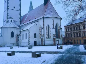 Pronájem obchodního prostoru, Písek, Bakaláře, 60 m2