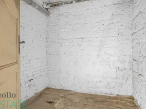 Prodej atypického bytu, Plzeň, Křížkova, 190 m2