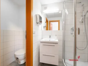 Pronájem bytu 2+kk, Hradec Králové, Eliščino nábřeží, 80 m2