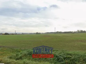 Prodej pole, Vodňany, Stožická, 4565 m2