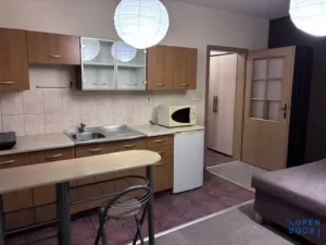 Pronájem bytu 1+kk, Praha - Hostivař, Švehlova, 25 m2