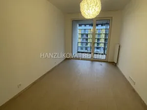 Pronájem bytu 2+kk, České Budějovice, Branišovská, 52 m2