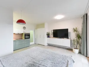 Pronájem bytu 1+kk, Praha - Košíře, Pod Šmukýřkou, 42 m2