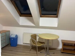 Pronájem bytu 1+kk, Brno, Palackého třída, 28 m2