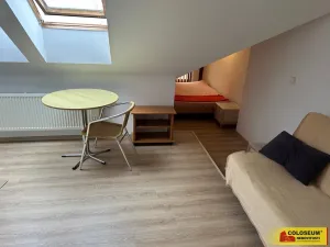 Pronájem bytu 1+kk, Brno, Palackého třída, 28 m2