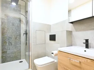 Pronájem bytu 2+kk, Chomutov, Holešická, 42 m2