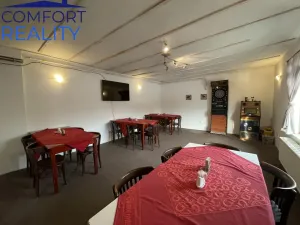 Prodej ubytování, Frýdlant nad Ostravicí - Nová Ves, 400 m2