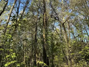 Prodej pozemku, Čížkov, 22012 m2