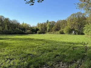 Prodej pozemku, Čížkov, 22012 m2