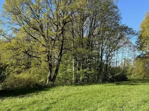 Prodej pozemku, Čížkov, 22012 m2