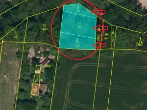 Prodej lesa, Dolní Životice, 776 m2