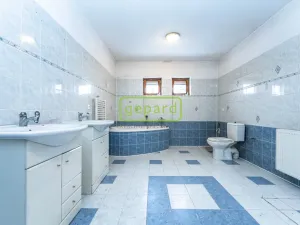 Prodej rodinného domu, Doksy - Staré Splavy, Dalibora z Myšlína, 330 m2