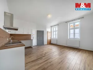 Pronájem bytu 1+kk, Plzeň - Východní Předměstí, 24 m2