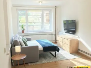 Pronájem bytu 1+1, Brno - Žabovřesky, 45 m2