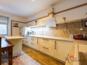 Prodej rodinného domu, Slepotice, 270 m2