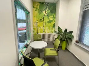 Pronájem kanceláře, Ostrava, Kounicova, 17 m2