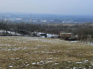 Prodej zahrady, Mikulov, Nová, 2627 m2