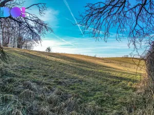 Prodej pozemku pro bydlení, Těrlicko, 4357 m2