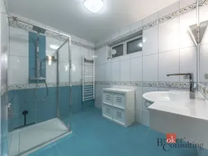 Prodej rodinného domu, Mladá Boleslav - Čejetice, Malá, 260 m2