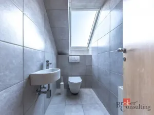 Prodej rodinného domu, Mladá Boleslav - Čejetice, Malá, 260 m2