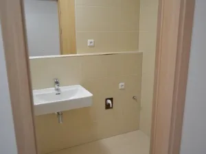 Prodej bytu 1+kk, Praha - Dolní Měcholupy, Františka Jansy, 30 m2