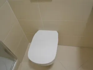 Prodej bytu 1+kk, Praha - Dolní Měcholupy, Františka Jansy, 30 m2