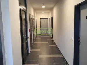 Pronájem bytu 1+kk, Praha, Kolbenova, 35 m2