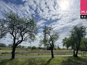 Prodej louky, Ostrov, Jáchymovská, 8734 m2