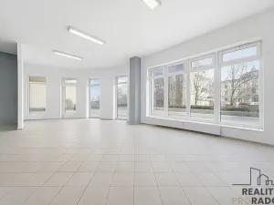 Prodej obchodního prostoru, Olomouc - Nová Ulice, Wellnerova, 65 m2