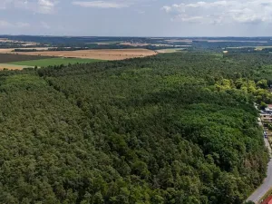 Prodej zemědělské usedlosti, Mělník, Chloumecká, 93 m2