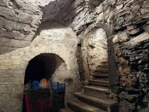 Prodej rodinného domu, Broumov, Mírové náměstí, 916 m2