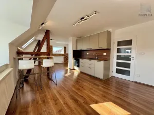 Pronájem bytu 2+kk, Brno, Mahenova, 50 m2