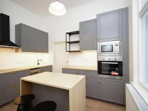 Pronájem bytu 1+1, Praha - Vinohrady, Polská, 42 m2