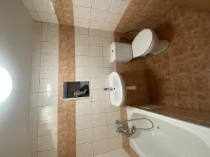 Pronájem bytu 1+kk, Praha - Vysočany, Freyova, 20 m2