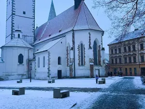 Pronájem obchodního prostoru, Písek, Bakaláře, 60 m2