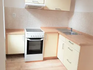 Pronájem bytu 1+kk, České Budějovice, Tylova, 39 m2