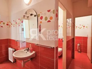 Prodej komerční nemovitosti, Opava, Slezská, 1385 m2