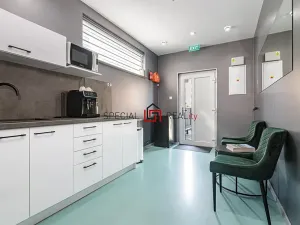 Prodej ubytování, Ostrava, 17. listopadu, 138 m2