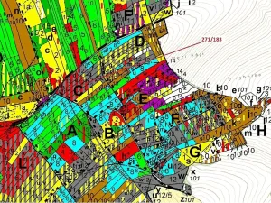 Dražba lesa, Milavče, 2398 m2