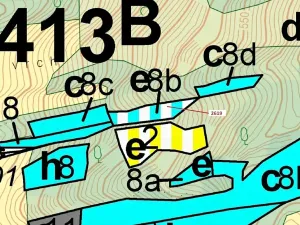 Dražba lesa, Zděchov, 867 m2