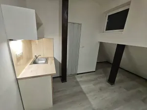 Pronájem bytu 1+kk, Praha - Hlubočepy, Na Zlíchově, 20 m2