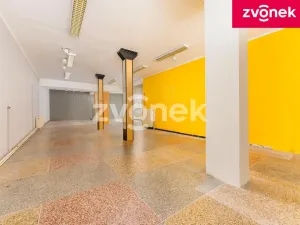 Prodej obchodního prostoru, Uherský Brod, 700 m2