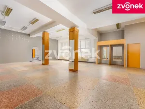Prodej obchodního prostoru, Uherský Brod, 700 m2