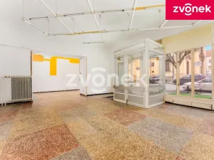 Prodej obchodního prostoru, Uherský Brod, 700 m2