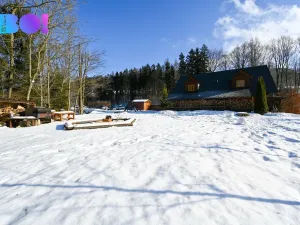 Prodej chalupy, Dolní Morava - Velká Morava, 157 m2