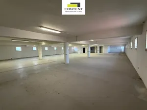Pronájem skladu, Kostěnice, 3000 m2