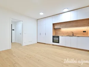 Pronájem bytu 1+kk, Brno, Bratislavská, 29 m2