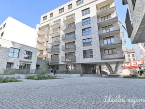 Pronájem bytu 1+kk, Brno, Bratislavská, 29 m2
