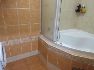 Prodej rodinného domu, Protivín, Nad Rybníkem, 281 m2